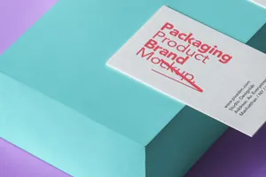 包装盒名片品牌vi提案样机模板 Basic Psd Product Packaging Mockup