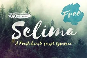 毛笔书法风格英文字体Selima Script 精选字体