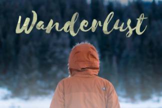 毛笔书法风格英文字体Selima Script