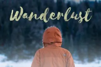 毛笔书法风格英文字体Selima Script