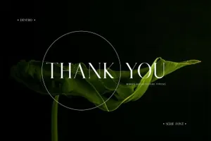 现代时尚优雅的杂志海报排版衬线英文字体 Alfinart - DESTRO Ligature Serif Font