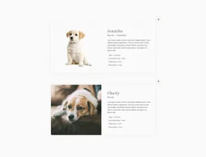 动物收容所慈善公益网站PSD模版 Animal Shelte