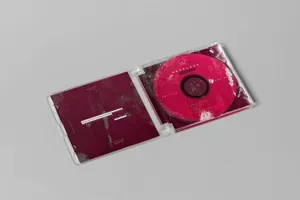 时尚高端高品质的逼真质感CD光碟cd-pack-mock-up