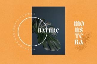 优雅复古时尚女性婚礼杂志排版英文衬线字体 Lower Coast | Serif Display