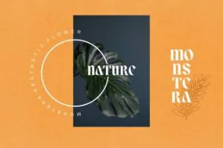 优雅复古时尚女性婚礼杂志排版英文衬线字体 Lower Coast | Serif Display