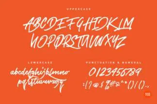 现代品牌风格手写英文字体Airlines Script Free Version