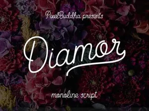 一款时尚漂亮的单线英文字体Diamor Script 精选字体