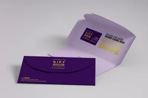 礼品信封邀请函请帖门票7gift-envelope-invitation-gift