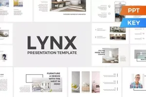Lynx Presentation Template