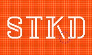 特殊衬线英文字体STOKED (free font) 精选字体