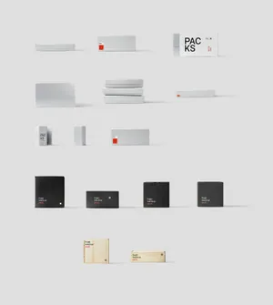 各种高端的纸张盒子设计样机BPK , Box Mockups