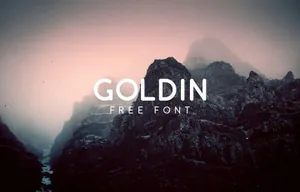 一款衬线大写英文字体Goldin Free Font 精选字体