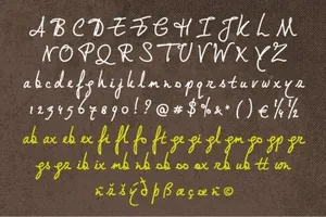 适合木纹的手绘字体 Birchwood