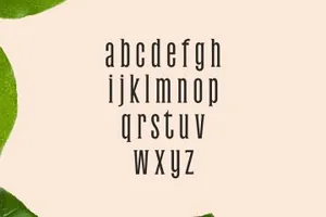 时尚厚重的衬线字体套装 Galvin Slab Serif 5 Font Family