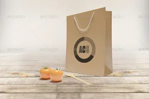 购物纸袋展示样机下载 Paper Bag Mockup