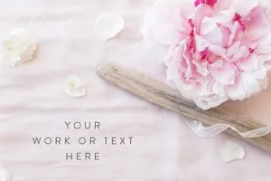 牡丹丝绸素材模型 Peonies and silk styled stock