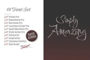 震撼的手写字体 10 Amazing Script Fonts