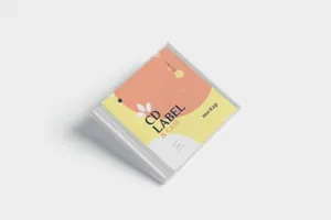 高品质的时尚高端逼真质感房地产CD光盘cd-label-case