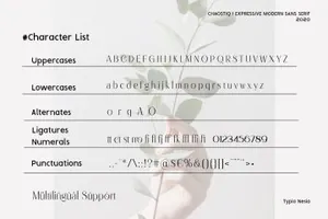 复古优雅时尚的女性品牌海报杂志排版英文衬线字体 Chaostic - Expressive Sans