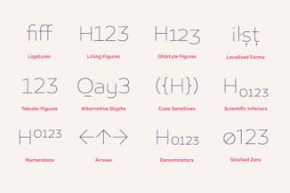 现代独特的英文字体 Canaro Free Demo Font