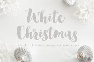 圣诞节特色雪地照片样机合集 Christmas Stock Photos