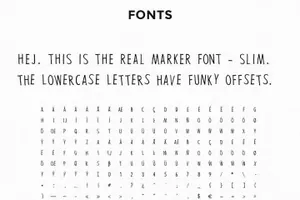 手写马克笔字体 TWO REAL MARKER FONTS