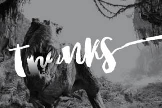 粗体手写英文字体Nightgirls Script