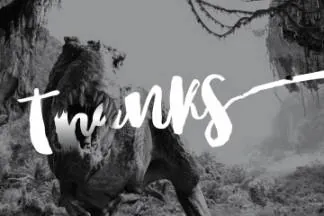 粗体手写英文字体Nightgirls Script