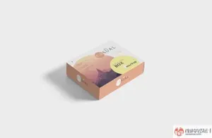 食品纸盒包装盒展示效果图VI智能贴图PS样机素材