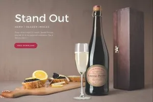 香槟酒瓶模型品牌智能对象专业照明摄影