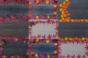 秋季树叶背景纹理素材 Autumn leaves background mockups