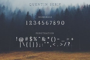 手写字体标志矢量插画素材  Wonderland-Fonts-Pack-Branding-Kit
