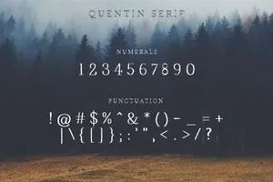 手写字体标志矢量插画素材  Wonderland-Fonts-Pack-Branding-Kit