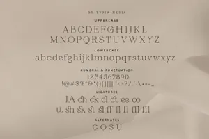 时尚优雅的电影婚礼品牌杂志海报排版英文衬线字体 Glamode - Glamour Stylish Serif