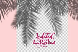 高级高品质高端夏季花卉植物Summer floral shadows