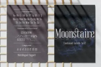 优雅复古的女性奢侈品牌婚礼美容设计排版英文衬线字体 Moonstaire - Condensed Serif