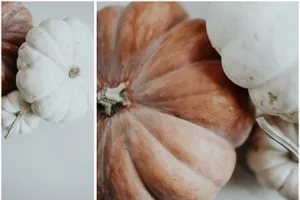 南瓜厨房场景样机 Pumpkin Spice Stock Photo Bundle