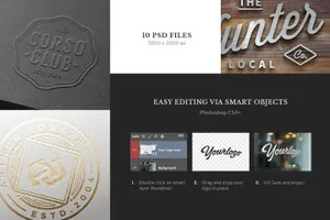 图形素材样机 10 LogoBadge Mock