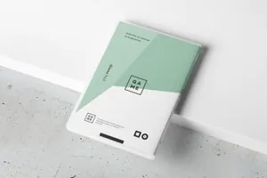 游戏音乐DVD光盘塑料盒包装盘面封面展示效果图VI智能贴图