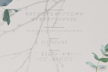 卢浮宫维纳斯请柬贺卡明星片情人节连笔衬线浪漫签名英文字体