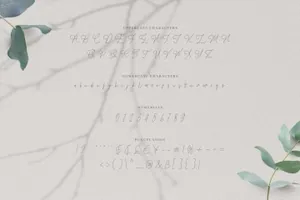 卢浮宫维纳斯请柬贺卡明星片情人节连笔衬线浪漫签名英文字体