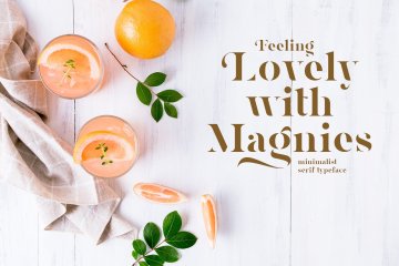 简约衬线英文字体 Magnies - Minimal Serif