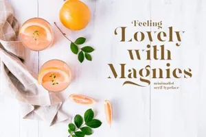 简约衬线英文字体 Magnies - Minimal Serif