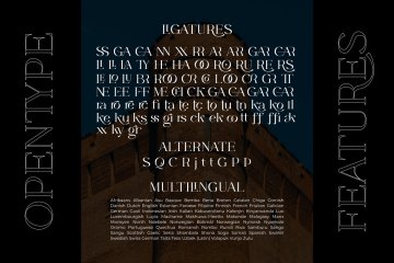 优雅经典的婚礼珠宝杂志个人品牌哥特衬线英文字体 CASTLE ROCKS DUO - Ligature Font