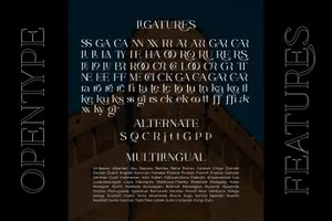 优雅经典的婚礼珠宝杂志个人品牌哥特衬线英文字体 CASTLE ROCKS DUO - Ligature Font