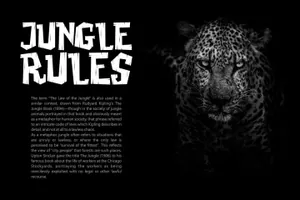 时尚高端可爱的啄木鸟丛林Woodpecker.otf英文字体