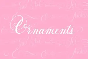 柔和的手写字体 Petunia