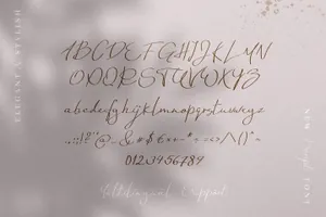 Fonts 星期日阳光优雅现代温柔连笔手写脚本英文无衬线字体