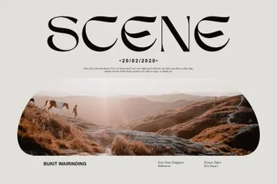 新复古优雅现代感酸性艺术女性美妆品牌设计海报杂志排版英文字体 Sego Serif Font