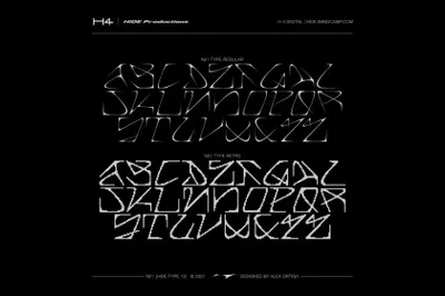 复古酸性艺术像素风尖锐锋利小众潮牌服饰品牌设计英文装饰字体 N21 [HIDE TYPE 13]